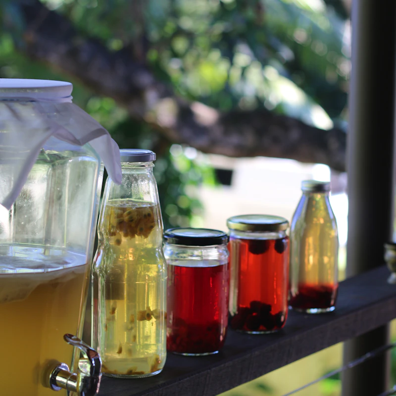 Berry Hibiscus Kombucha Duo β Beverages at Gallen Shop