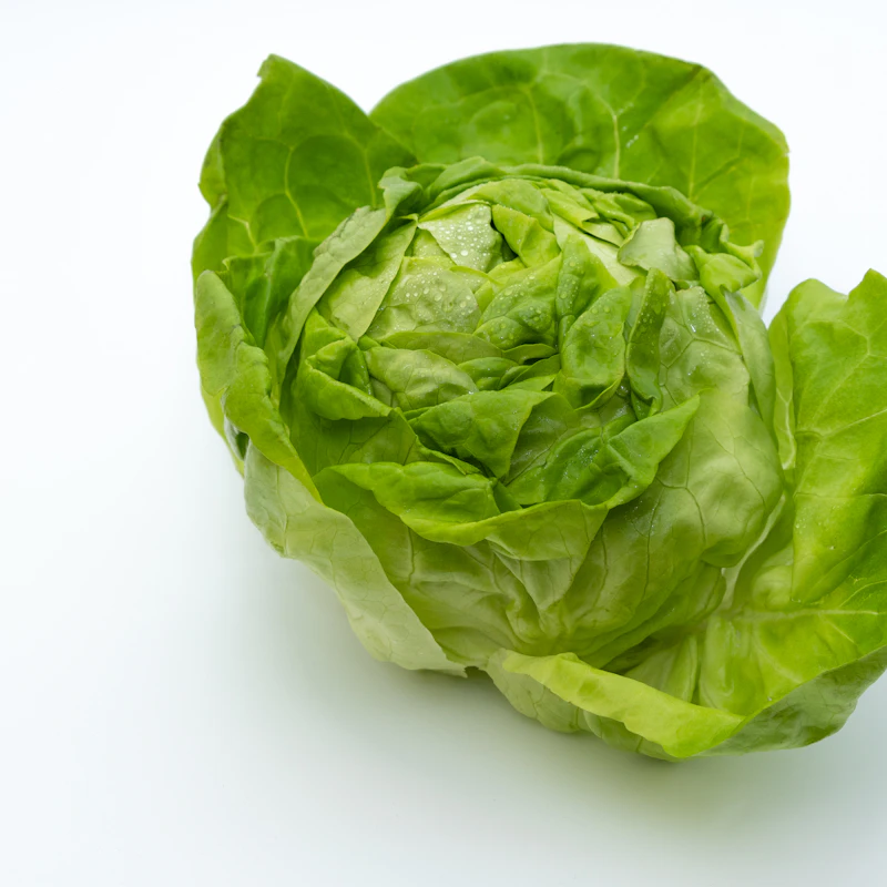 Butter Lettuce Twin Pack β Fresh Produce at Gallen Shop
