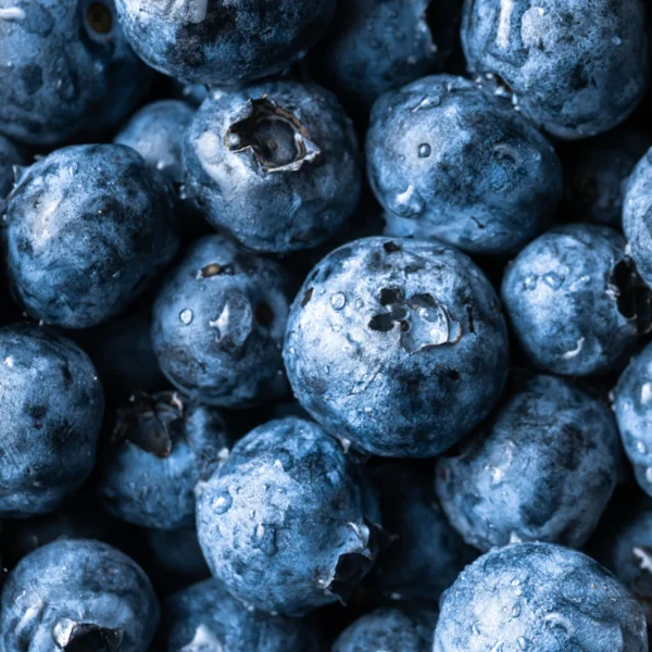 Fresh Blueberries Pint — Fresh Produce at Gallen Shop