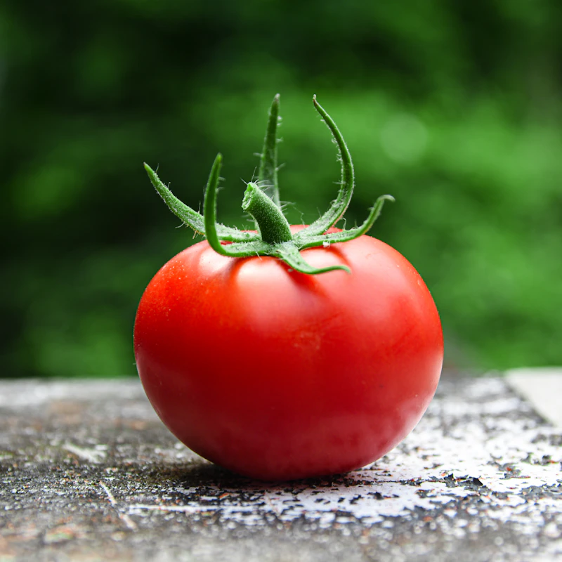 Heirloom Cherry Tomato Medley β Fresh Produce at Gallen Shop