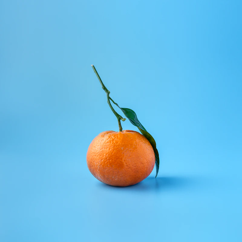 Navel Orange Bag 4 lb β Fresh Produce at Gallen Shop