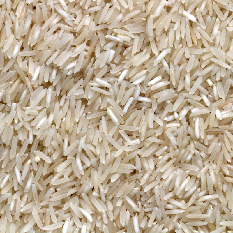 Organic Jasmine Rice 5 lb β Pantry at Gallen Shop