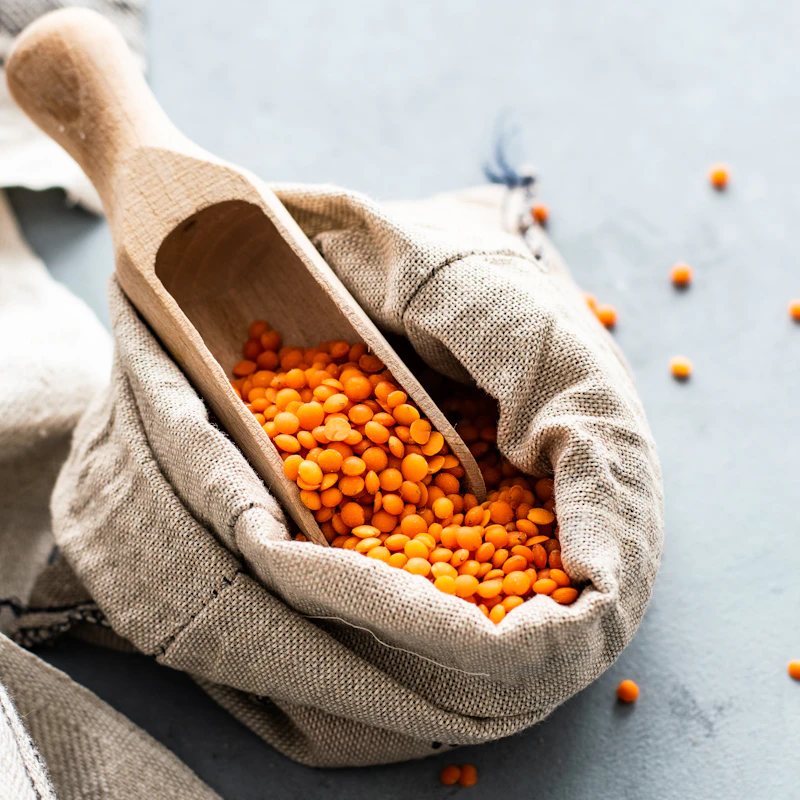 Organic Red Lentils 2 lb β Pantry at Gallen Shop