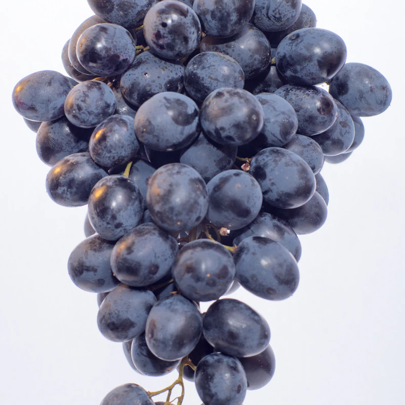 Red Seedless Grapes 2 lb β Fresh Produce at Gallen Shop