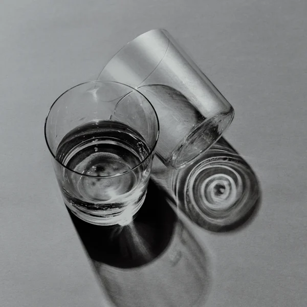 Stemless Wine Glasses (4) — Home & Kitchen at Gallen Shop