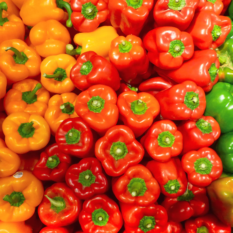 Sweet Bell Pepper Trio β Fresh Produce at Gallen Shop